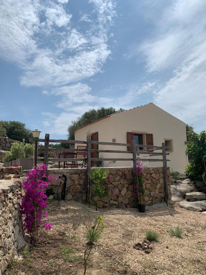 בית הארחה רנה מג'ורה 	Stazzu Nuraghe Mannucciu מראה חיצוני תמונה