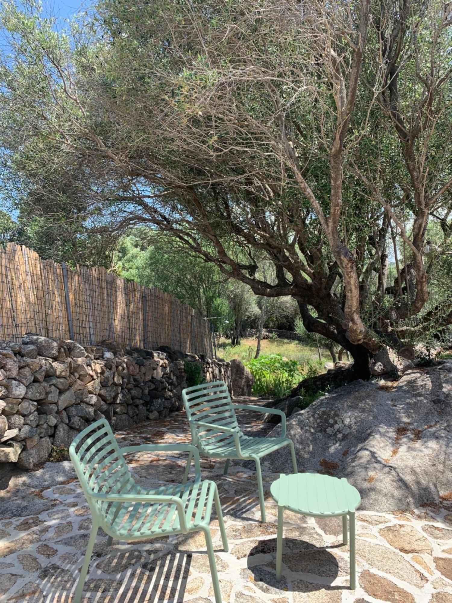 בית הארחה רנה מג'ורה 	Stazzu Nuraghe Mannucciu מראה חיצוני תמונה