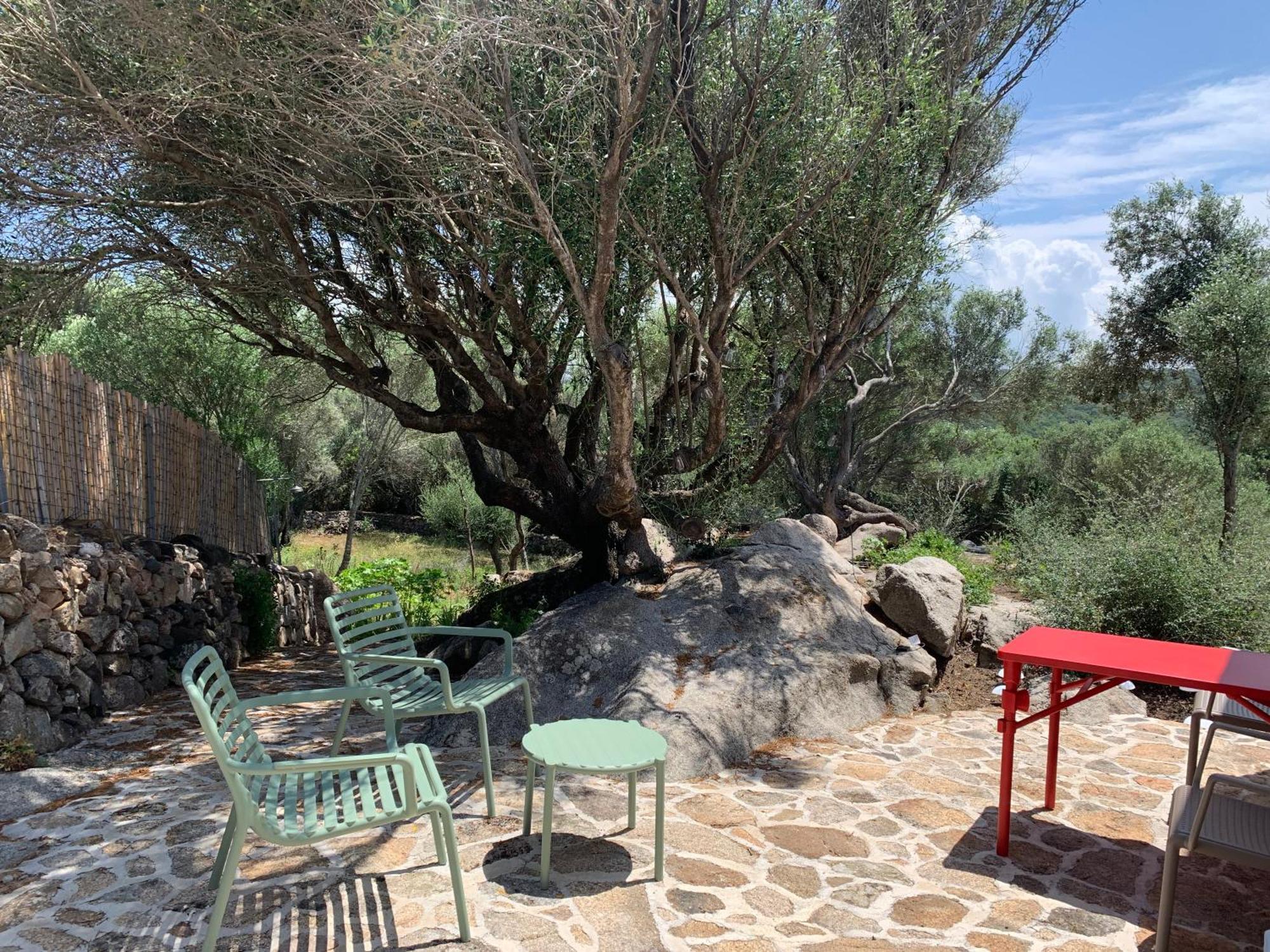 בית הארחה רנה מג'ורה 	Stazzu Nuraghe Mannucciu מראה חיצוני תמונה